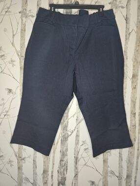 Lane Bryant The Allie Skinny Ankle Crop Navy Pants Sexy Stretch Women 20 Petite